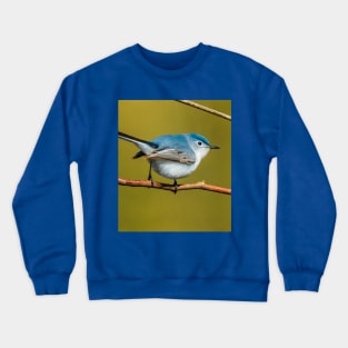 Little Cute Bird Photograph. Blue-Gray Gnatcatcher Crewneck Sweatshirt